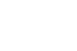 Aviatrix